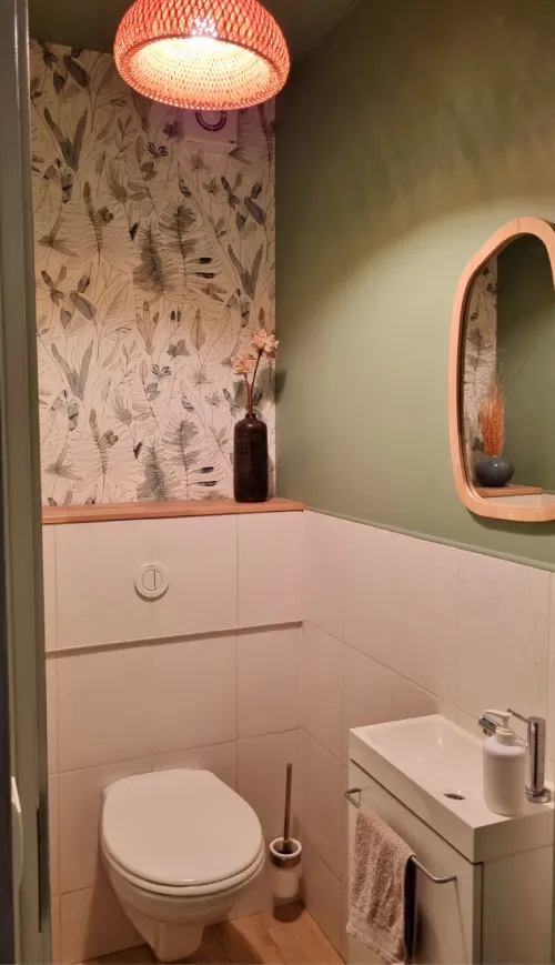 projet client conseil deco renovation toilettes Projet client - CONSEIL DECO Toilettes ambiance naturelle et végétale