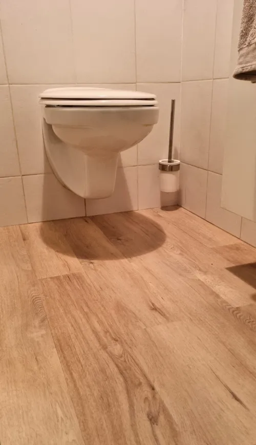 projet toilettes sol lino effet bois clair Projet client - CONSEIL DECO Toilettes ambiance naturelle et végétale